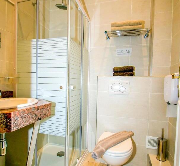 テラス付スーペリアルーム, Parisien