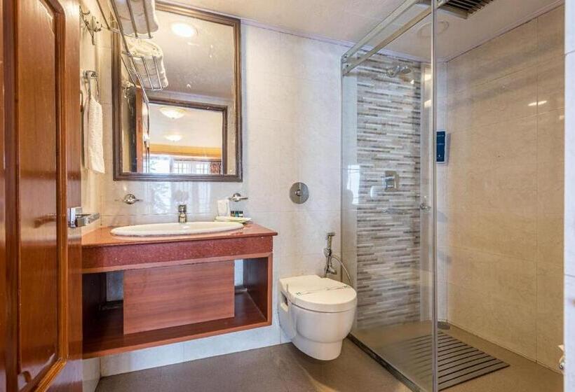 Standardrum, Udaan Dekeling Resort Darjeeling