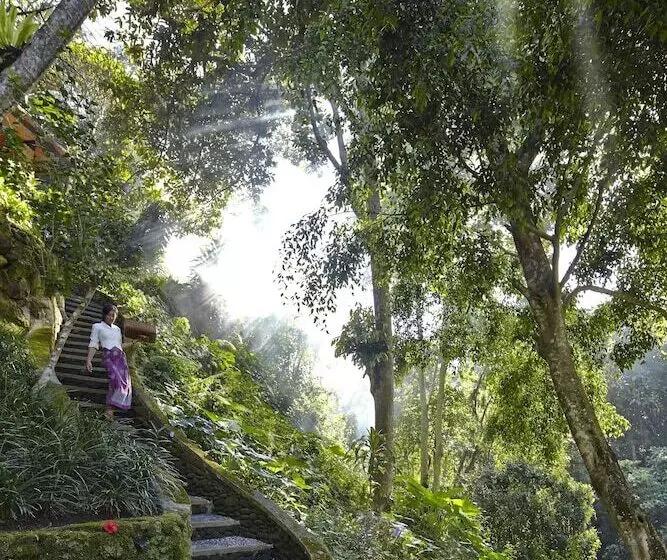 اتاق سوپریور, Tjampuhan Spa