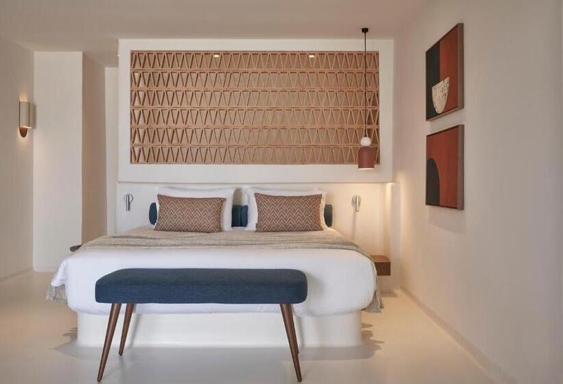 סוויטה עם בריכה, Andronis Minois