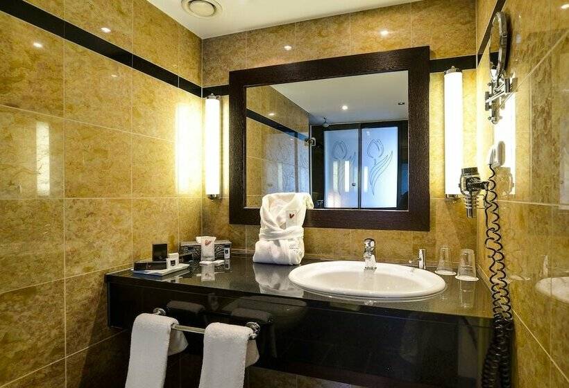 اتاق استاندارد یک نفره, Ambiance Rivoli