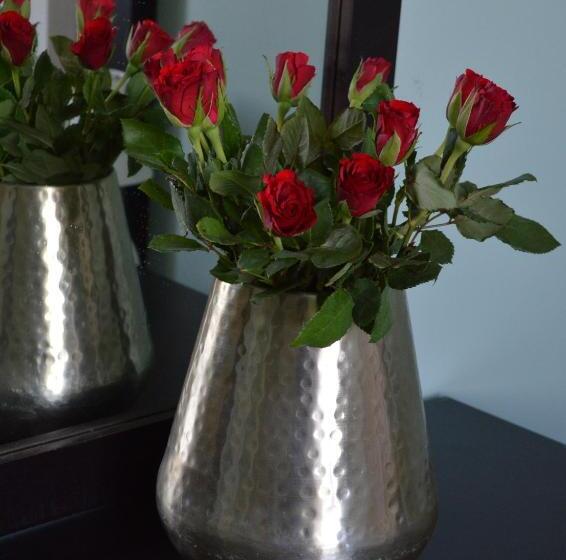 غرفة قياسية, Château De La Pomarède