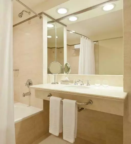 اتاق کلاسیک با چشمانداز شهر, Sheraton Salta