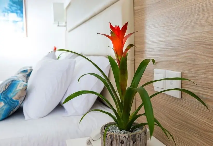 Standard-huone Sivuttainen Merinäkymä, Ascos Coral Beach