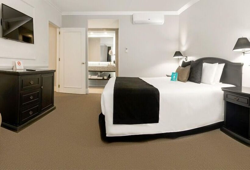 スイート, Dann Carlton Quito