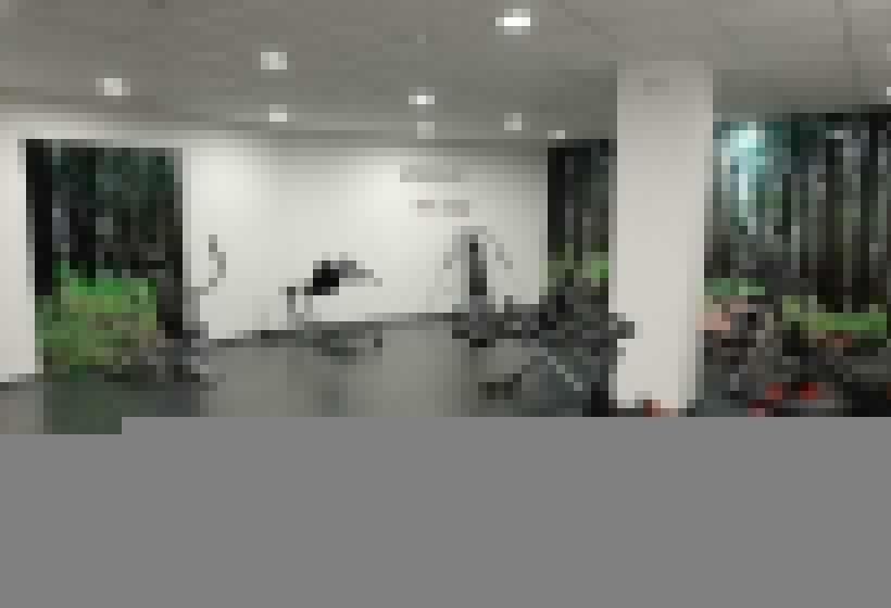 اتاق استاندارد, Spa Odeón