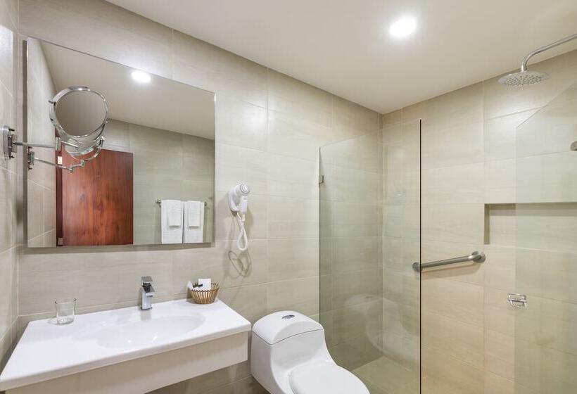 エクゼクティブルーム, Andes Plaza