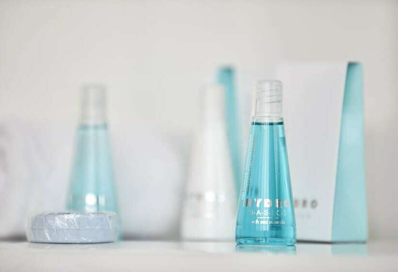 高级大房间, Bordoy Continental Palma