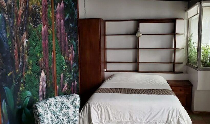 Superior Einzelzimmer, Hostal Posada Del Maple