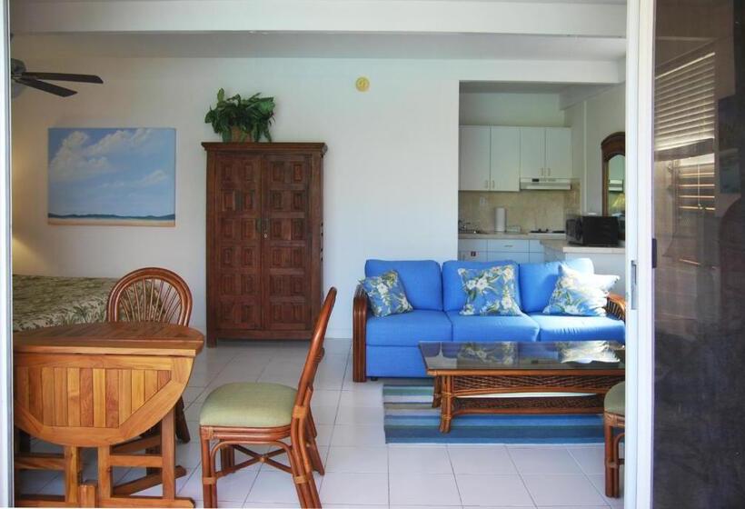 استودیو استاندارد با تخت کینگ, Secret Harbour Beach Resort