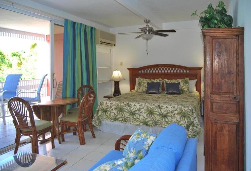 استودیو استاندارد با تخت کینگ, Secret Harbour Beach Resort