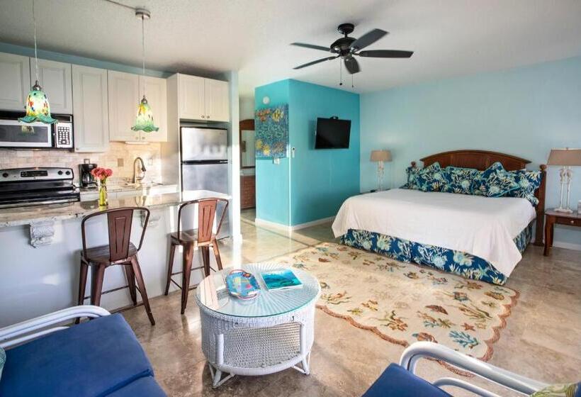 استودیو استاندارد با تخت کینگ, Secret Harbour Beach Resort