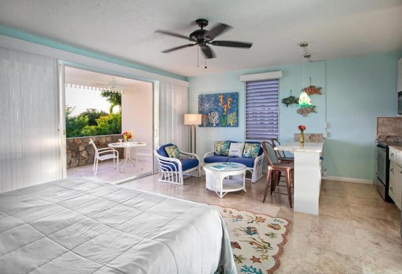 استودیو استاندارد با تخت کینگ, Secret Harbour Beach Resort