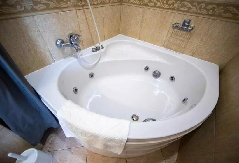 اتاق اجرایی با تخت بزرگ, Adriatik Hotel, Bw Premier Collection