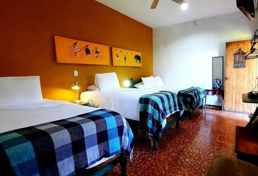 패밀리 룸, La Posada Del Doctor