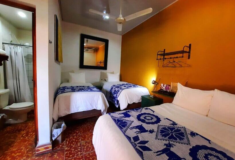 패밀리 룸, La Posada Del Doctor