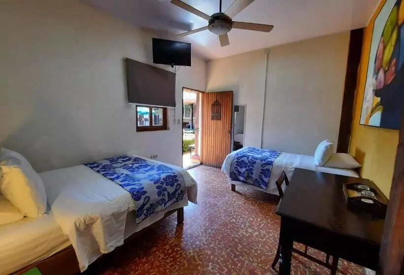 اتاق استاندارد سه نفره, La Posada Del Doctor