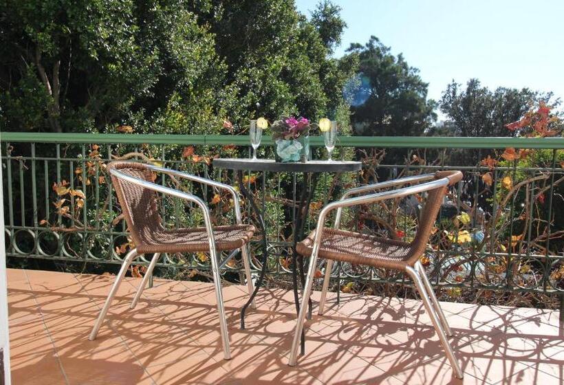 سوییت, Mountain Manor Guest House & Executive Suites