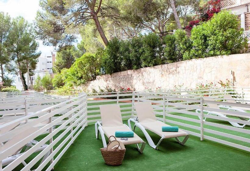 سوییت جونیور, Ona Palmira Paradise Paguera