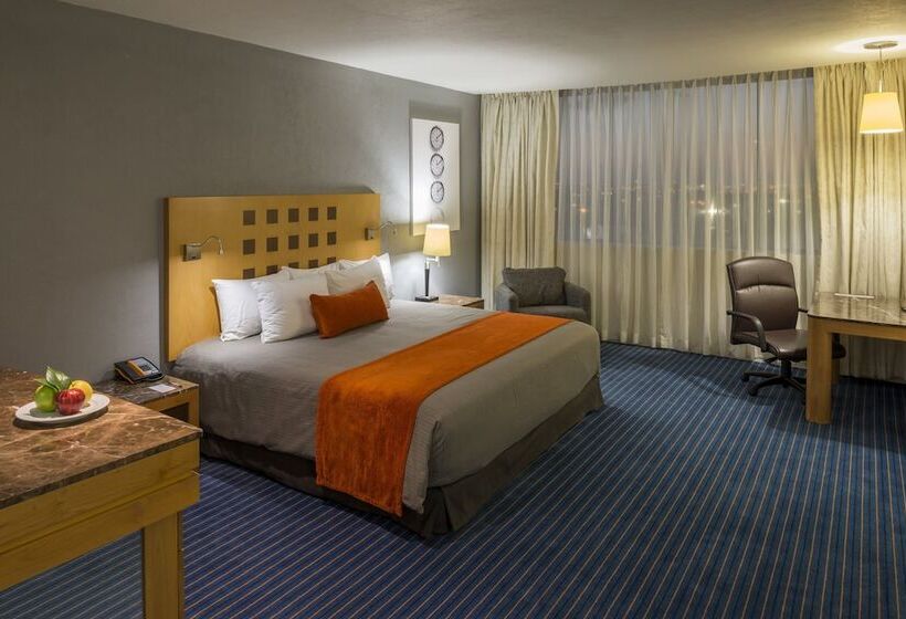 带大床的豪华间, Real Inn Nuevo Laredo
