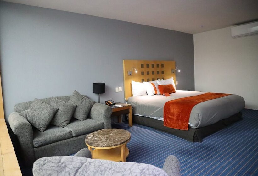 带大床的豪华间, Real Inn Nuevo Laredo