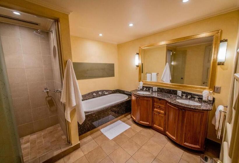 جناح ديلوكس, The Michelangelo Towers