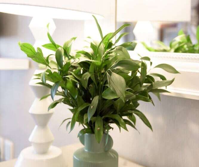 标准间, Whalesong Hotel & Spa