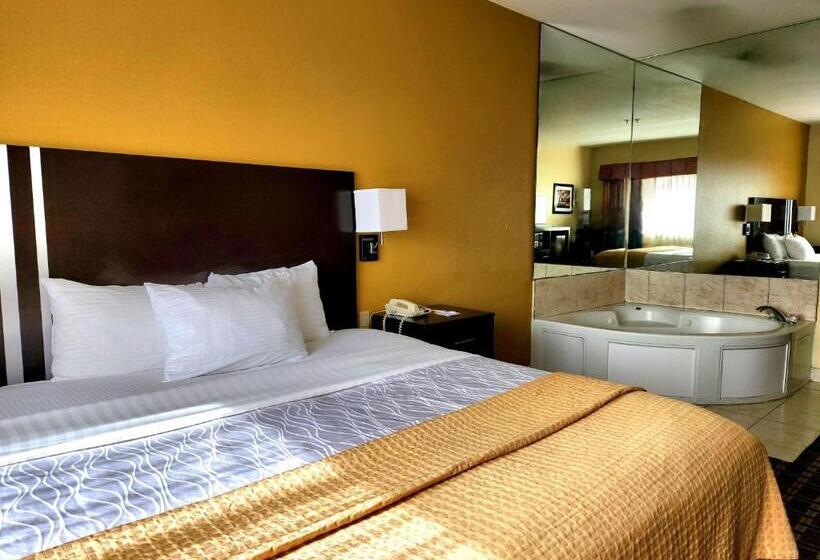 Номер Deluxe Кровать Кинг, Days Inn & Suites By Wyndham Sam Houston Tollway