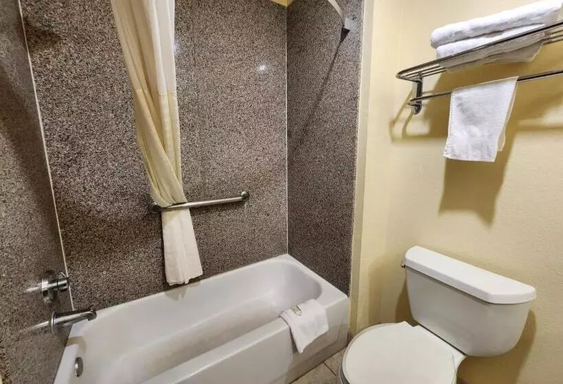 キングサイズベッドのスタンダードルーム, Days Inn & Suites By Wyndham Sam Houston Tollway