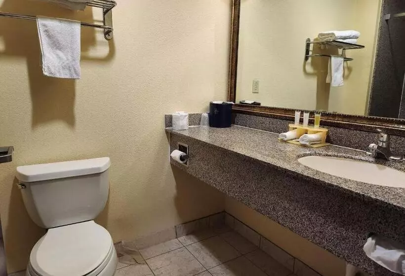 キングサイズベッドのスタンダードルーム, Days Inn & Suites By Wyndham Sam Houston Tollway