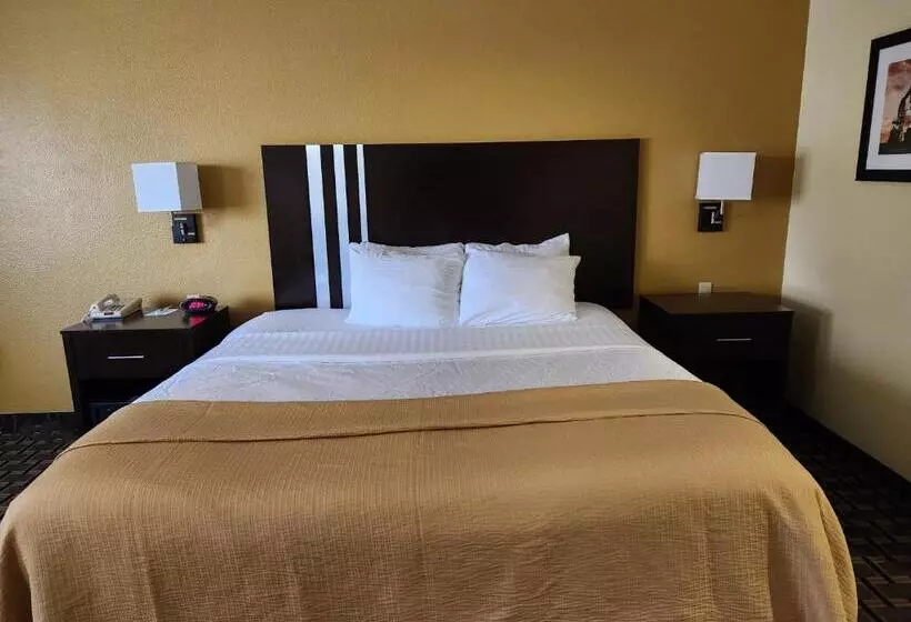 キングサイズベッドのスタンダードルーム, Days Inn & Suites By Wyndham Sam Houston Tollway