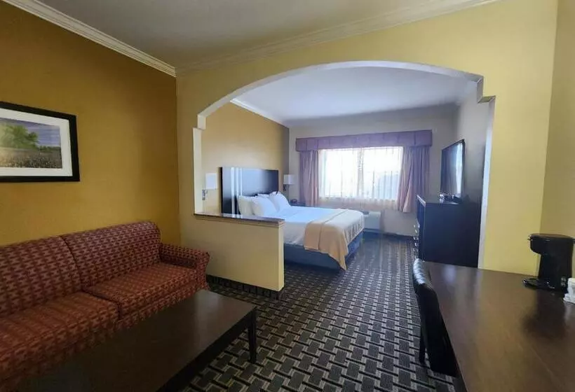 キングサイズベッドのスイートルーム, Days Inn & Suites By Wyndham Sam Houston Tollway