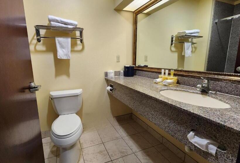 Люкс Кровать Кинг, Days Inn & Suites By Wyndham Sam Houston Tollway
