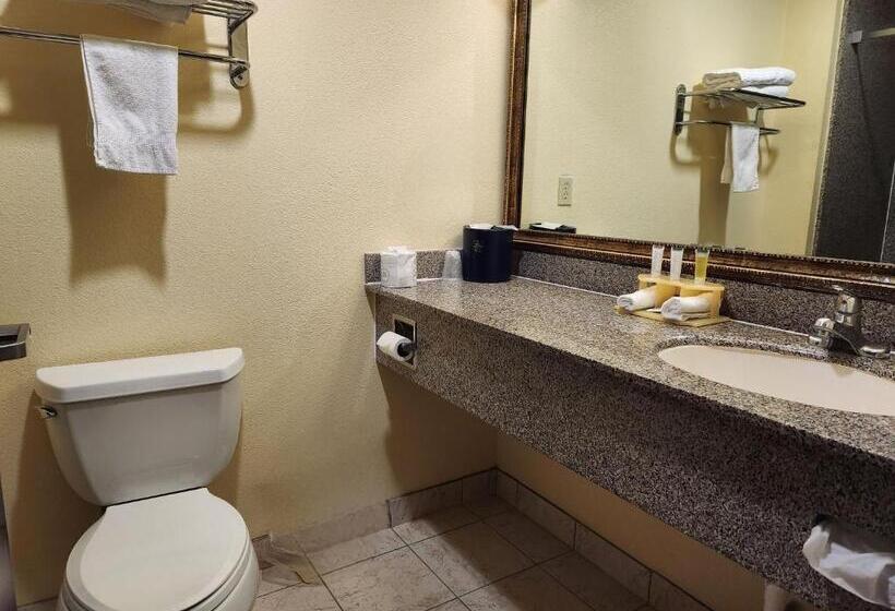 Номер Стандарт, Days Inn & Suites By Wyndham Sam Houston Tollway