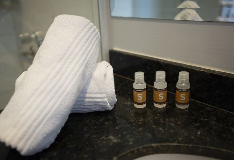 身障者適用スタンダードルーム, Centro Europeu