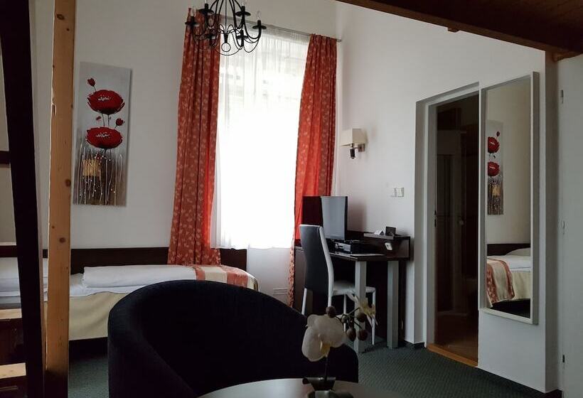 اتاق استاندارد سه نفره, Pension Jana   Domov Mládeže