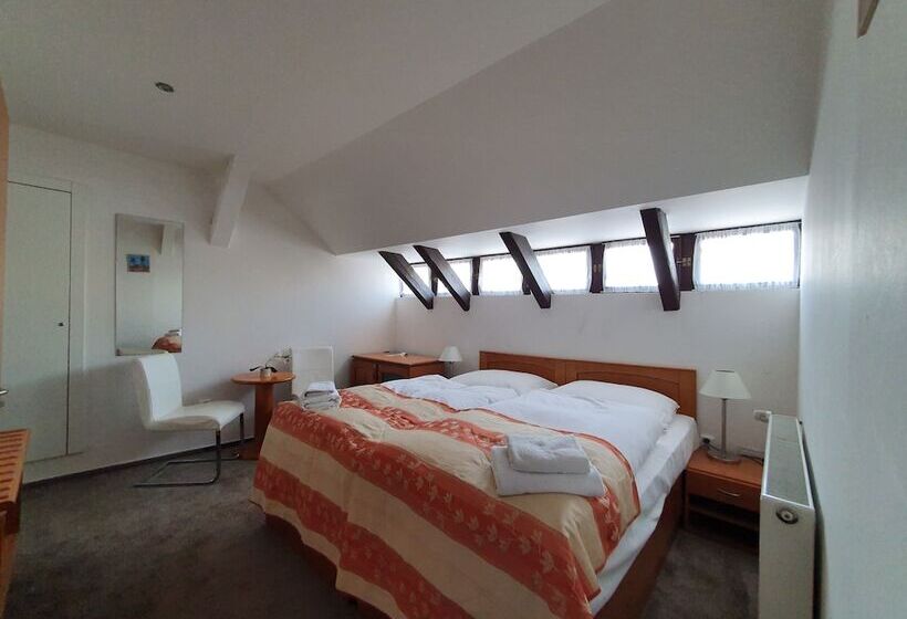 اتاق استاندارد چهار تخته, Pension Jana   Domov Mládeže