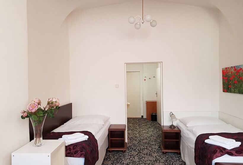 اتاق استاندارد چهار تخته, Pension Jana   Domov Mládeže