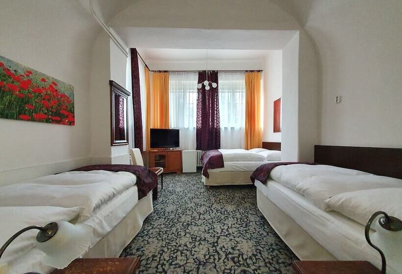 اتاق استاندارد چهار تخته, Pension Jana   Domov Mládeže