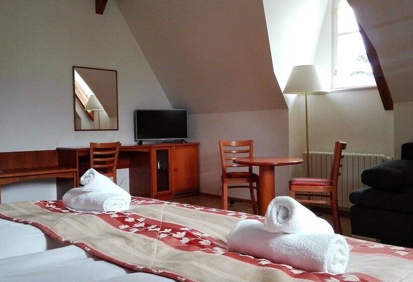 اتاق راحتی, Pension Jana   Domov Mládeže