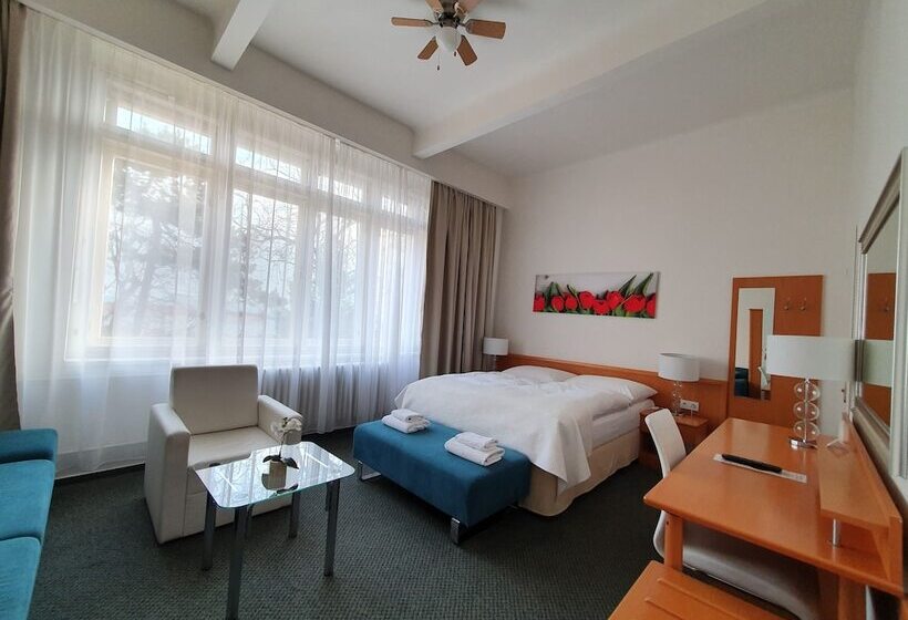 اتاق راحتی, Pension Jana   Domov Mládeže