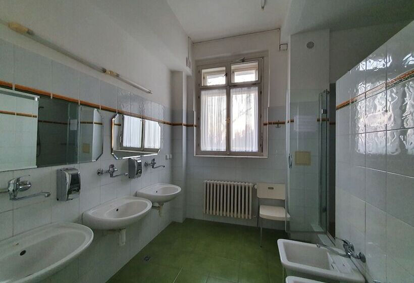 اتاق استاندارد با سرویس بهداشتی مشترک, Pension Jana   Domov Mládeže