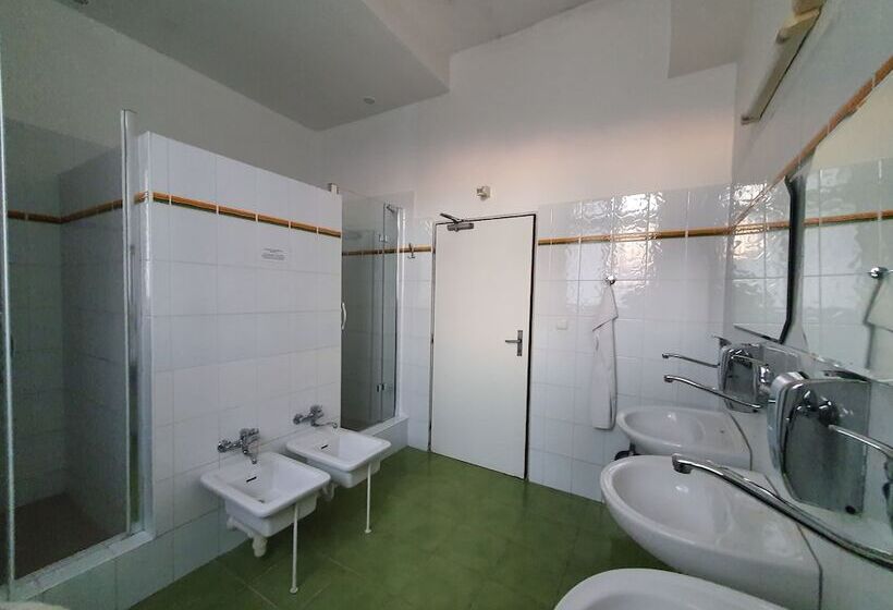 اتاق استاندارد با سرویس بهداشتی مشترک, Pension Jana   Domov Mládeže