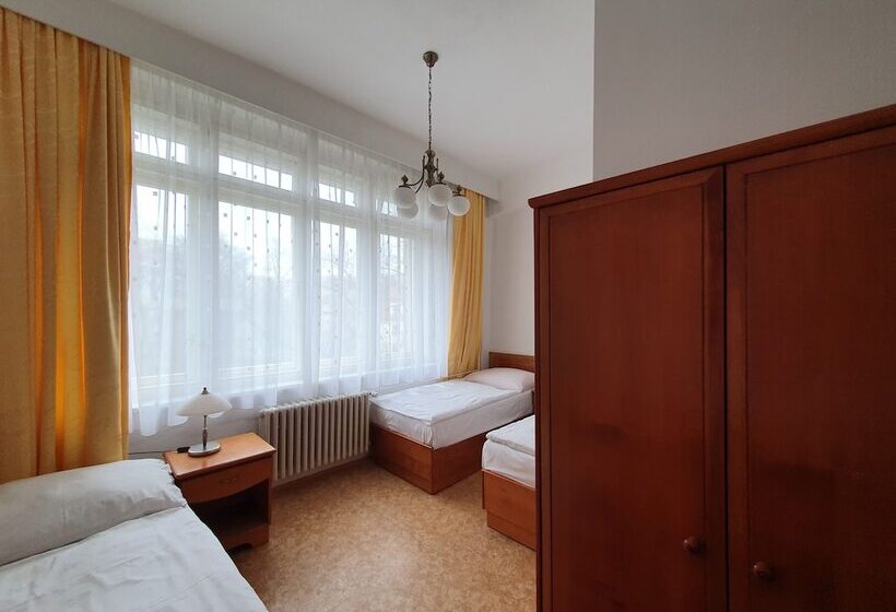 اتاق استاندارد سه تخته با سرویس بهداشتی مشترک, Pension Jana   Domov Mládeže