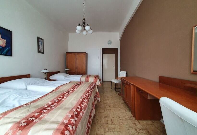 اتاق استاندارد سه تخته با سرویس بهداشتی مشترک, Pension Jana   Domov Mládeže