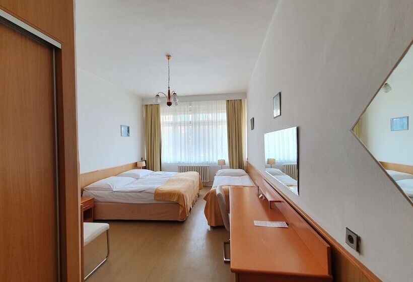 اتاق استاندارد سه تخته با سرویس بهداشتی مشترک, Pension Jana   Domov Mládeže