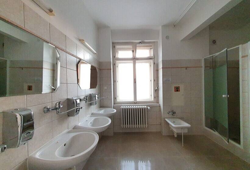 اتاق استاندارد چهارنفره با سرویس بهداشتی مشترک, Pension Jana   Domov Mládeže