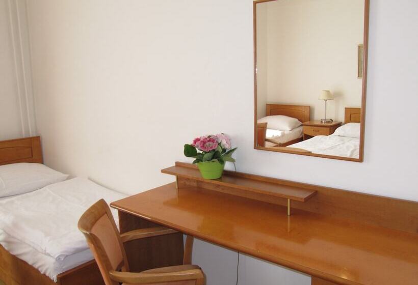 اتاق استاندارد چهارنفره با سرویس بهداشتی مشترک, Pension Jana   Domov Mládeže