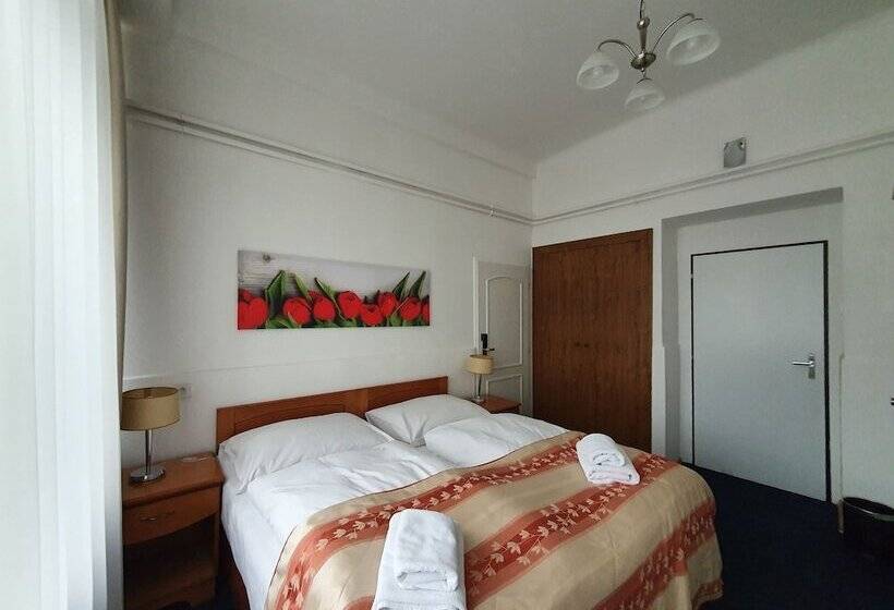 اتاق استاندارد چهار تخته, Pension Jana   Domov Mládeže