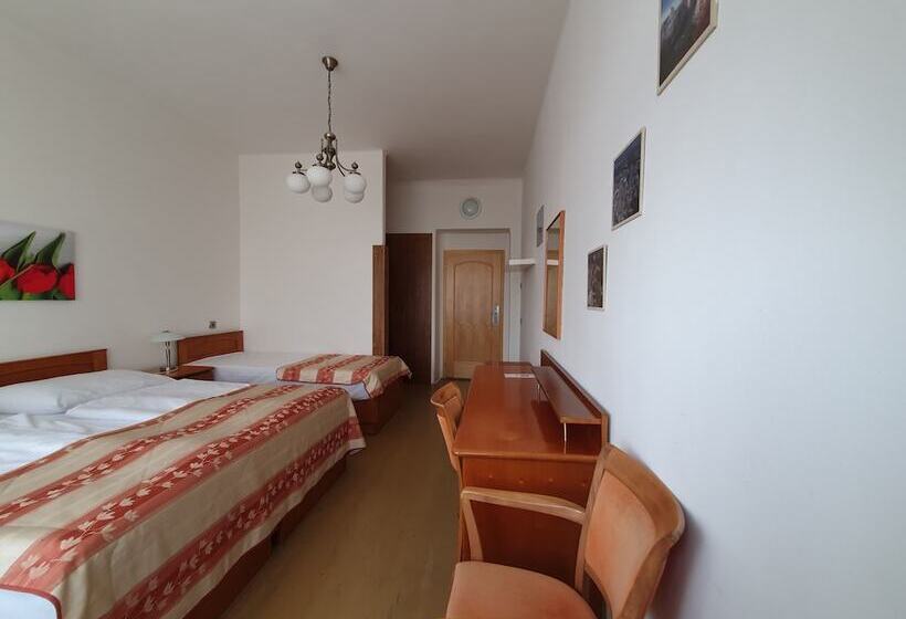 اتاق استاندارد سه تخته با سرویس بهداشتی مشترک, Pension Jana   Domov Mládeže